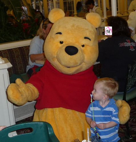 Pooh