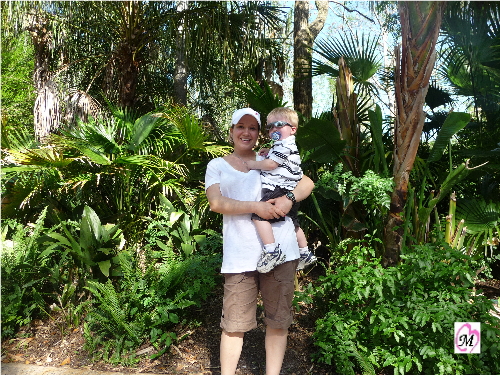 animal