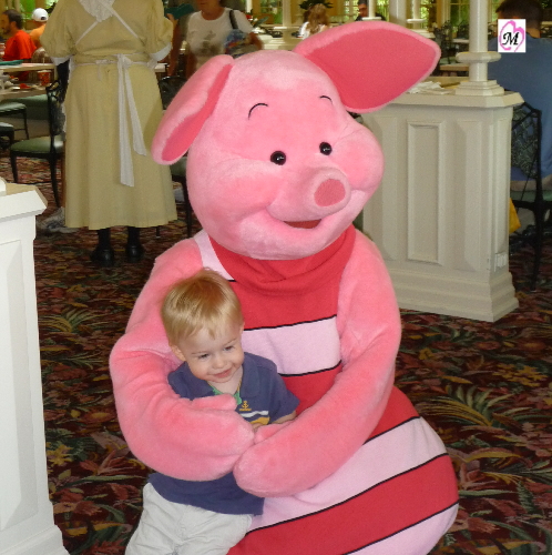 piglet2