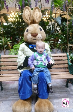 Bunny