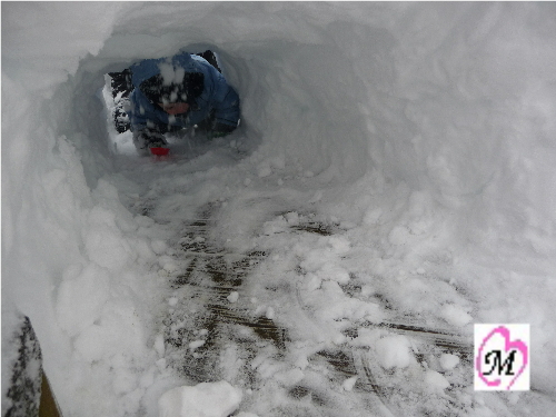 Tunnel4