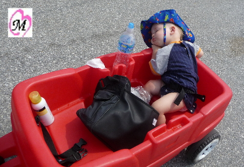 Wagon3