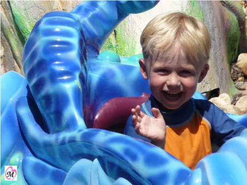 4 year old on ride at Busch Gardens