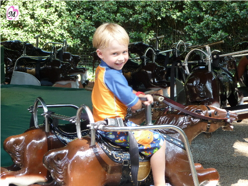 Horse Carousel
