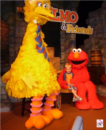 Busch Gardens Family Vacation