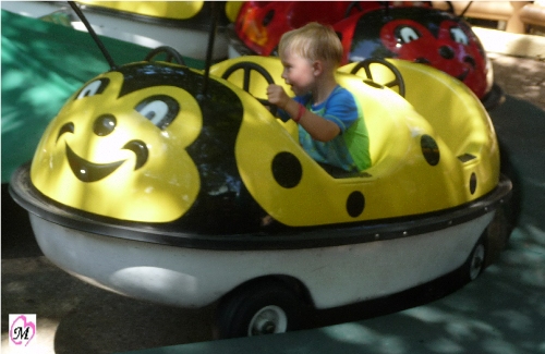 Kid Lady Bug Ride