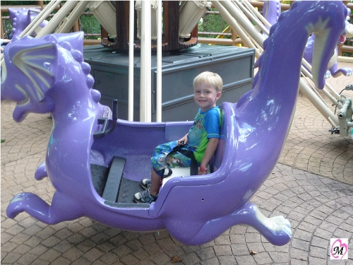 4 year old riding ride at busch gardens