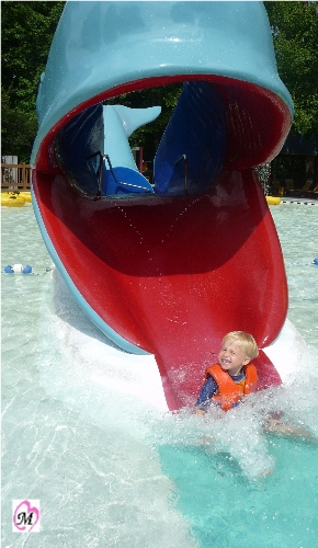 Whale Water Slide