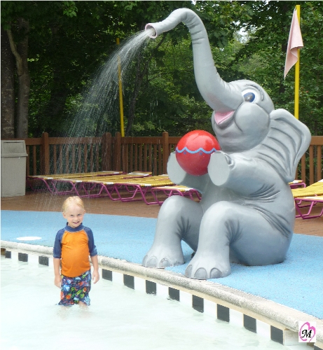 Elephant Water Spray